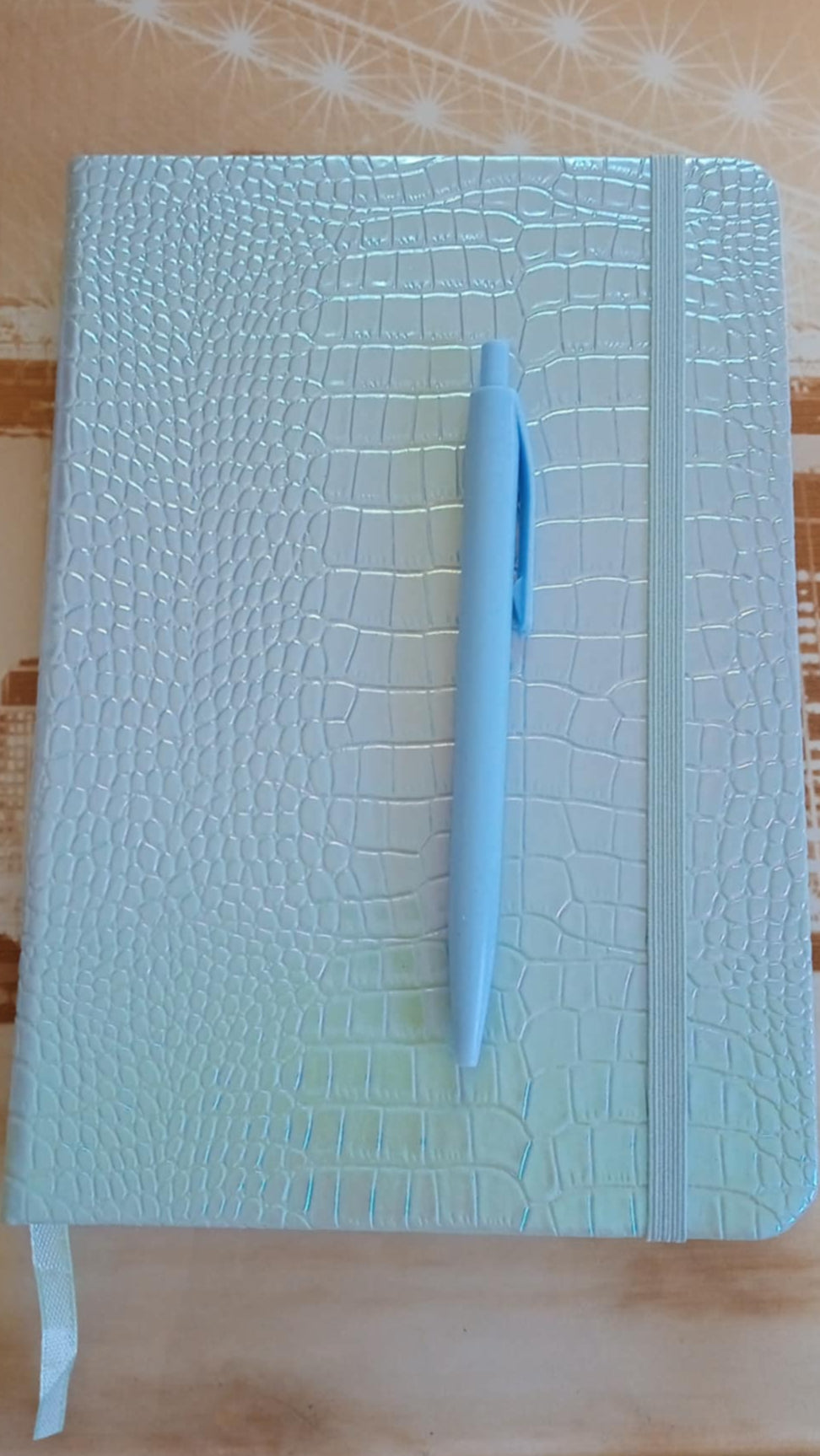 Lot carnet de note A5 + stylo