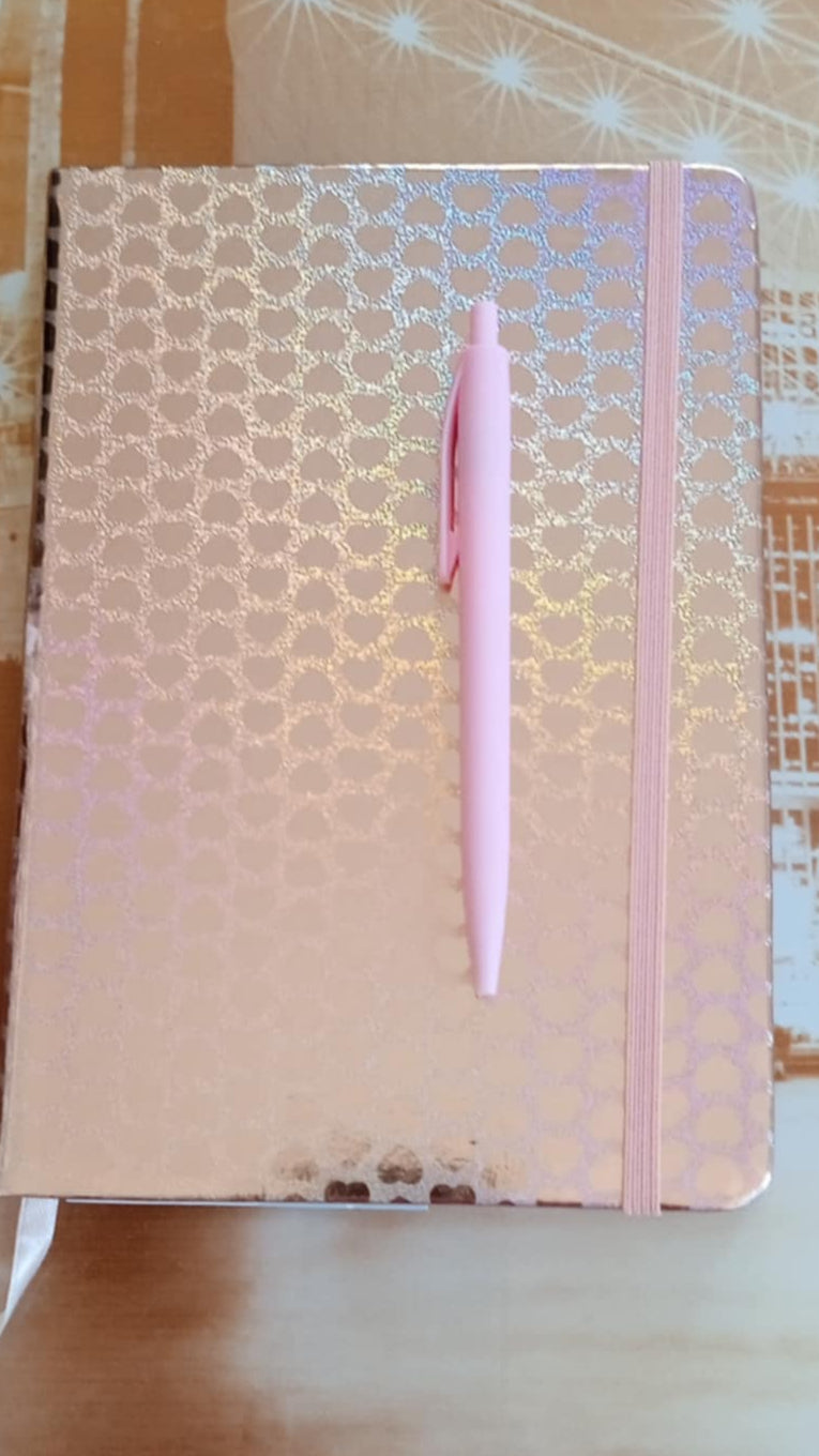 Lot carnet de note A5 + stylo