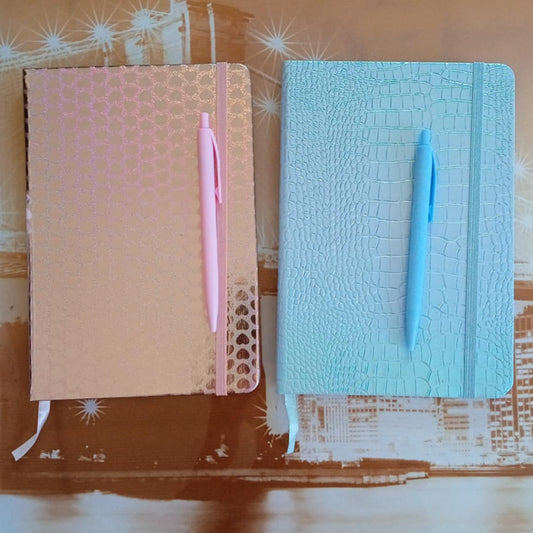 Lot carnet de note A5 + stylo