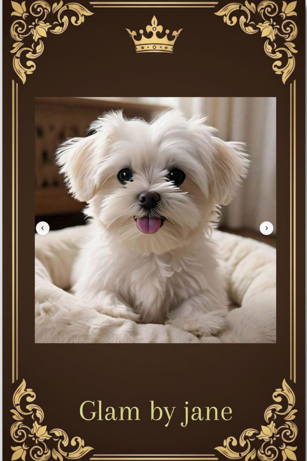 Diamond Painting 5D – Bichon Maltais